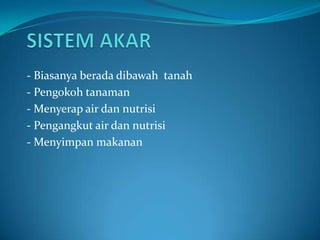 - Biasanya berada dibawah tanah
- Pengokoh tanaman
- Menyerap air dan nutrisi
- Pengangkut air dan nutrisi
- Menyimpan makanan
 