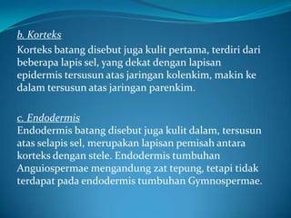 b. Korteks
Korteks batang disebut juga kulit pertama, terdiri dari
beberapa lapis sel, yang dekat dengan lapisan
epidermis tersusun atas jaringan kolenkim, makin ke
dalam tersusun atas jaringan parenkim.
c. Endodermis
Endodermis batang disebut juga kulit dalam, tersusun
atas selapis sel, merupakan lapisan pemisah antara
korteks dengan stele. Endodermis tumbuhan
Anguiospermae mengandung zat tepung, tetapi tidak
terdapat pada endodermis tumbuhan Gymnospermae.
 