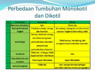 Perbedaan Tumbuhan Monokotil
dan Dikotil
 