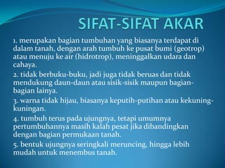 1. merupakan bagian tumbuhan yang biasanya terdapat di
dalam tanah, dengan arah tumbuh ke pusat bumi (geotrop)
atau menuju ke air (hidrotrop), meninggalkan udara dan
cahaya.
2. tidak berbuku-buku, jadi juga tidak beruas dan tidak
mendukung daun-daun atau sisik-sisik maupun bagian-
bagian lainya.
3. warna tidak hijau, biasanya keputih-putihan atau kekuning-
kuningan.
4. tumbuh terus pada ujungnya, tetapi umumnya
pertumbuhannya masih kalah pesat jika dibandingkan
dengan bagian permukaan tanah.
5. bentuk ujungnya seringkali meruncing, hingga lebih
mudah untuk menembus tanah.
 