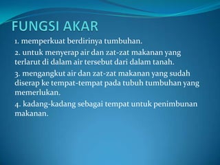 1. memperkuat berdirinya tumbuhan.
2. untuk menyerap air dan zat-zat makanan yang
terlarut di dalam air tersebut dari dalam tanah.
3. mengangkut air dan zat-zat makanan yang sudah
diserap ke tempat-tempat pada tubuh tumbuhan yang
memerlukan.
4. kadang-kadang sebagai tempat untuk penimbunan
makanan.
 