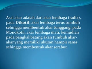 Asal akar adalah dari akar lembaga (radix),
pada Dikotil, akar lembaga terus tumbuh
sehingga membentuk akar tunggang, pada
Monokotil, akar lembaga mati, kemudian
pada pangkal batang akan tumbuh akar-
akar yang memiliki ukuran hampir sama
sehingga membentuk akar serabut.
 