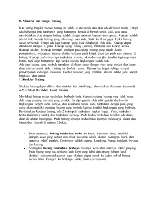 B. Struktur dan Fungsi Batang 
Kita sering berpikir bahwa batang itu selalu di atas tanah dan akar ada di bawah tanah. Tetapi 
ada beberapa jenis tumbuhan yang batangnya berada di bawah tanah. Jadi, cara untuk 
membedakan akar dengan batang adalah dengan mencari kuncup-kuncupnya. Kuncup adalah 
adalah titik tumbuh batang yang dilindungi oleh sisik. Sisik itu akan gugur ketika batang 
sudah terbentuk. Tetapi ada juga kuncup yang tidak dilindungi oleh sisik. Kuncup dapat 
dibedakan menjadi 2, yaitu, kuncup ujung batang (kuncup terminal) dan kuncup ketiak 
(kuncup aksilar). Kuncup terminal terdapat pada ujung batang yang masih dalam 
pertumbuhan, sedangkan kuncup aksilar terdapat pada ketiak daun dan pada ruas tertentu di 
batang. Kuncup, pada beberapa tumbuhan tertentu, akan dorman jika kondisi lingkungannya 
buruk, tapi dapat bertumbuh lagi ketika kondisi lingkungan sudah baik. 
Ada juga batang yang tumbuh mendatar di dalam tanah dengan ruas yang pendek dan daun-daun 
yan berbentuk sisik. Batang ini disebut rizoma. Rizoma berfungsi sebagai tempat 
penyimpanan cadangan makanan. Contoh tanaman yang memiliki rizoma adalah jahe, kunyit, 
lengkuas, dan kencur. 
1. Struktur Batang 
Struktur batang dapat dilihat dari struktur luar (morfologi) dan struktur dalamnya (anatomi). 
a.Morfologi (Struktur Luar) Batang 
Morfologi batang setiap tumbuhan berbeda-beda. Seperti panjang batang yang tidak sama. 
Ada yang panjang dan ada yang pendek. Itu dipengaruhi oleh sifat genetis dan kondisi 
lingkungan, seperti suhu, cahaya, dan kesuburan tanah. Jadi, tumbuhan dengan jenis yang 
sama akan memiliki panjang batang yang berbeda karena kondisi lingkungan yang berbeda. 
Berdasarkan keadaan batang, ada 2 kelompok tumbuhan tingkat tinggi. Yaitu, tumbuhan 
herba (tumbuhan lunak) dan tumbuhan berkayu. Pada kedua tumbuhan tersebut ada daun-daun 
di seluruh batangnya. Pada batang terdapat nodus/buku (tempat meletaknya daun) dan 
internodus (daerah di anatara 2 buku). 
 Pada umumnya, batang tumbuhan herba itu lunak, berwarna hijau, memiliki 
jaringan kayu yang sedikit atau tidak ada sama sekali, ukuran batangnya kecil, dan 
umurnya relatif pendek. Contohnya adalah jagung, kangkung, bunga matahari, bayam, 
dan kacang. 
 Sedangkan batang tumbuhan berkayu biasanya keras dan umurnya relatif panjang. 
Pada batang yang tua, terdapat kulit kayu yang tebal dan lubang-lubang kecil 
(lentisel) pada permukaannya agar oksigen dapat masuk ke dalam sel-sel batang 
secara difusi. Oksigen itu berfungsi untuk proses pernapasan. 
 