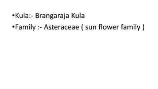 •Kula:- Brangaraja Kula 
•Family :- Asteraceae ( sun flower family ) 
 