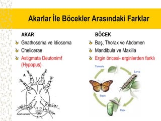 akaroloji ders notu.pdf