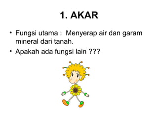 1. AKAR 
• Fungsi utama : Menyerap air dan garam 
mineral dari tanah. 
• Apakah ada fungsi lain ??? 
 