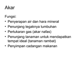 Akar 
Fungsi: 
• Penyerapan air dan hara mineral 
• Penunjang tegaknya tumbuhan 
• Pertukaran gas (akar nafas) 
• Penunjang tanaman untuk mendapatkan 
tempat ideal (tanaman rambat) 
• Penyimpan cadangan makanan 
 
