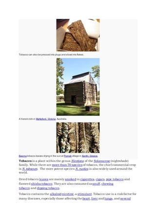 Tobacco can also be pressed into plugs and sliced into flakes.
A historic kiln in Myrtleford, Victoria, Australia.
Basma tobacco leaves drying in the sun at Pomak village in Xanthi, Greece.
Tobacco is a plant within the genus Nicotiana of the Solanaceae (nightshade)
family. While there are more than 70 species of tobacco, the chief commercial crop
is N. tabacum. The more potent species N. rustica is also widely used around the
world.
Dried tobacco leaves are mainly smoked in cigarettes, cigars, pipe tobacco and
flavored shisha tobacco. They are also consumed assnuff, chewing
tobacco and dipping tobacco.
Tobacco contains the alkaloid nicotine, a stimulant. Tobacco use is a risk factor for
many diseases,especially those affecting theheart,liver and lungs, and several
 