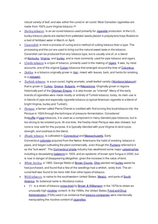 robust variety of leaf, and was either fire cured or air cured. Most Canadian cigarettes are
made from 100% pure Virginia tobacco.[11]
 Burley tobacco, is an air-cured tobacco used primarily for cigarette production. In the U.S.,
burley tobacco plants are started from palletized seeds placed in polystyrene trays floated on
a bed of fertilized water in March or April.
 Cavendish is more a process of curing and a method of cutting tobacco than a type. The
processing and the cut are used to bring out the natural sweet taste in the tobacco.
Cavendish can be produced from any tobacco type, but is usually one of, or a blend
of Kentucky, Virginia, and burley, and is most commonly used for pipe tobacco and cigars.
 Criollo tobacco is a type of tobacco, primarily used in the making of cigars. It was, by most
accounts, one of the original Cuban tobaccos that emerged around the time of Columbus.
 Dokha, is a tobacco originally grown in Iran, mixed with leaves, bark, and herbs for smoking
in a midwakh.
 Turkish tobacco, is a sun-cured, highly aromatic, small-leafed variety (Nicotiana tabacum)
that is grown in Turkey, Greece, Bulgaria, andMacedonia. Originally grown in regions
historically part of the Ottoman Empire, it is also known as "oriental". Many of the early
brands of cigarettes were made mostly or entirely of Turkish tobacco; today, its main use is
in blends of pipe and especially cigarette tobacco (a typical American cigarette is a blend of
bright Virginia, burley and Turkish).
 Perique, a farmer called Pierre Chenet is credited with first turning this local tobacco into the
Perique in 1824 through the technique of pressure-fermentation. Considered
thetruffle of pipe tobaccos, it is used as a component in many blended pipe tobaccos, but is
too strong to be smoked pure. At one time, the freshly moist Perique was also chewed, but
none is now sold for this purpose. It is typically blended with pure Virginia to lend spice,
strength, and coolness to the blend.
 Shade tobacco, is cultivated in Connecticut and Massachusetts. Early
Connecticut colonists acquired from the Native Americans the habit of smoking tobacco in
pipes, and began cultivating the plant commercially, even though the Puritans referred to it
as the "evil weed". The Connecticut shade industry has weathered some major catastrophes,
including a devastating hailstorm in 1929, and an epidemic of brown spot fungus in 2000, but
is now in danger of disappearing altogether, given the increase in the value of land.
 White burley, in 1865, George Webb of Brown County, Ohio planted red burley seeds he
had purchased, and found that a few of the seedlings had a whitish, sickly look. The air-
cured leaf was found to be more mild than other types of tobacco.
 Wild tobacco, is native to the southwestern United States, Mexico, and parts of South
America. Its botanical name is Nicotiana rustica.
 Y1 is a strain of tobacco cross-bred by Brown & Williamson in the 1970s to obtain an
unusually high nicotine content. In the 1990s, the United States Food and Drug
Administration (FDA) used it as evidence that tobacco companies were intentionally
manipulating the nicotine content of cigarettes.
 