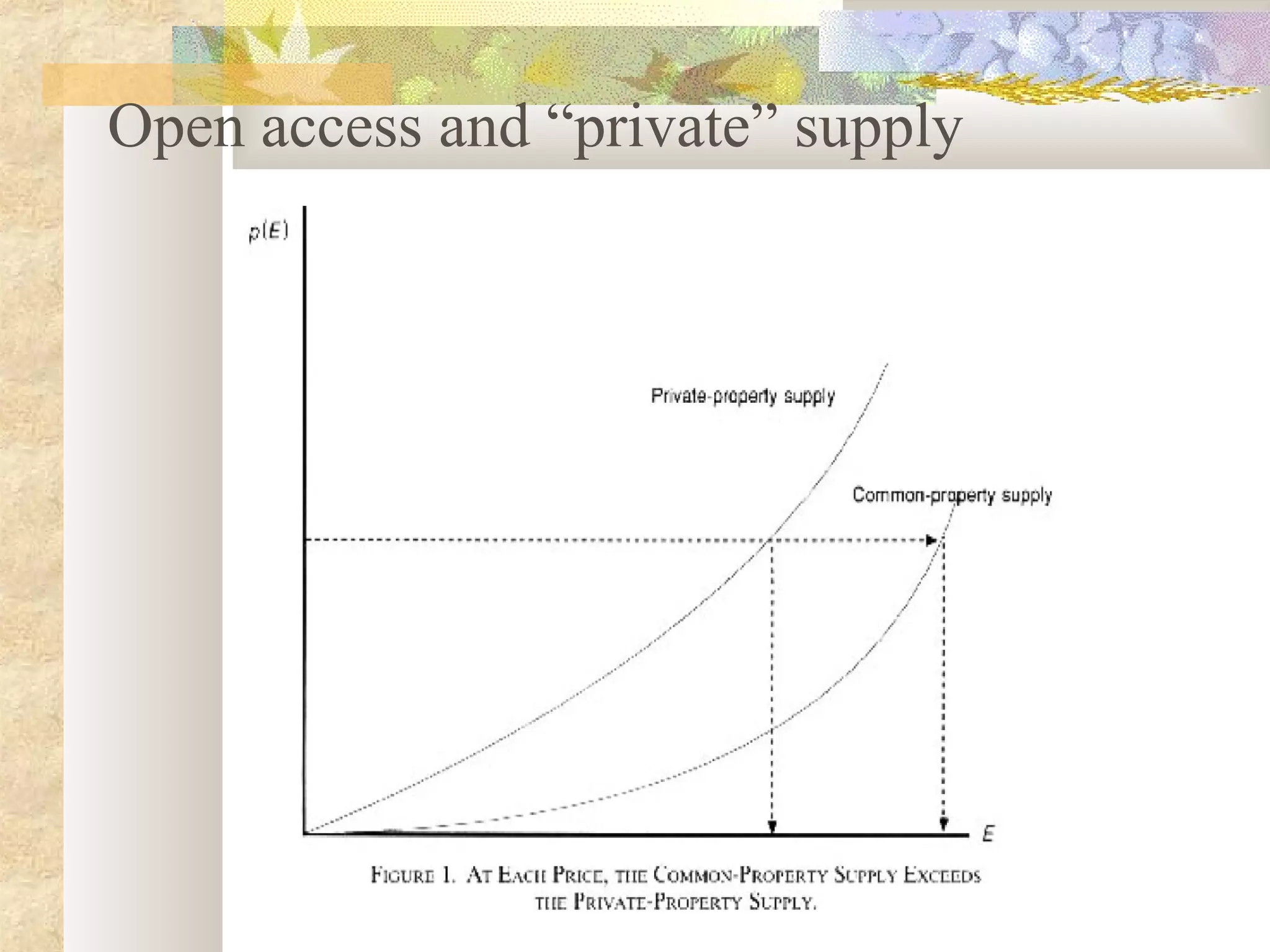 Open access and “private” supply
 