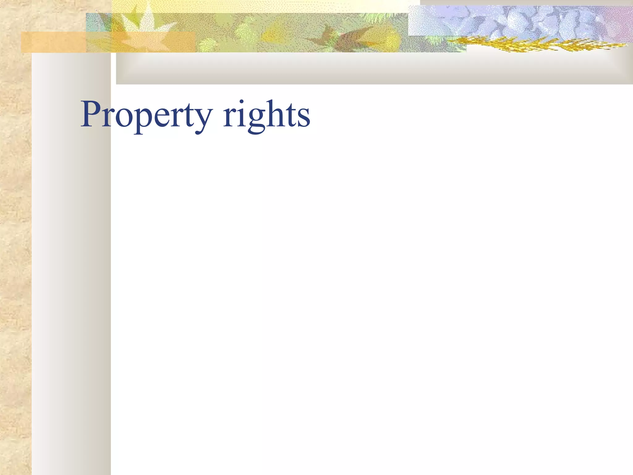 Property rights
 
