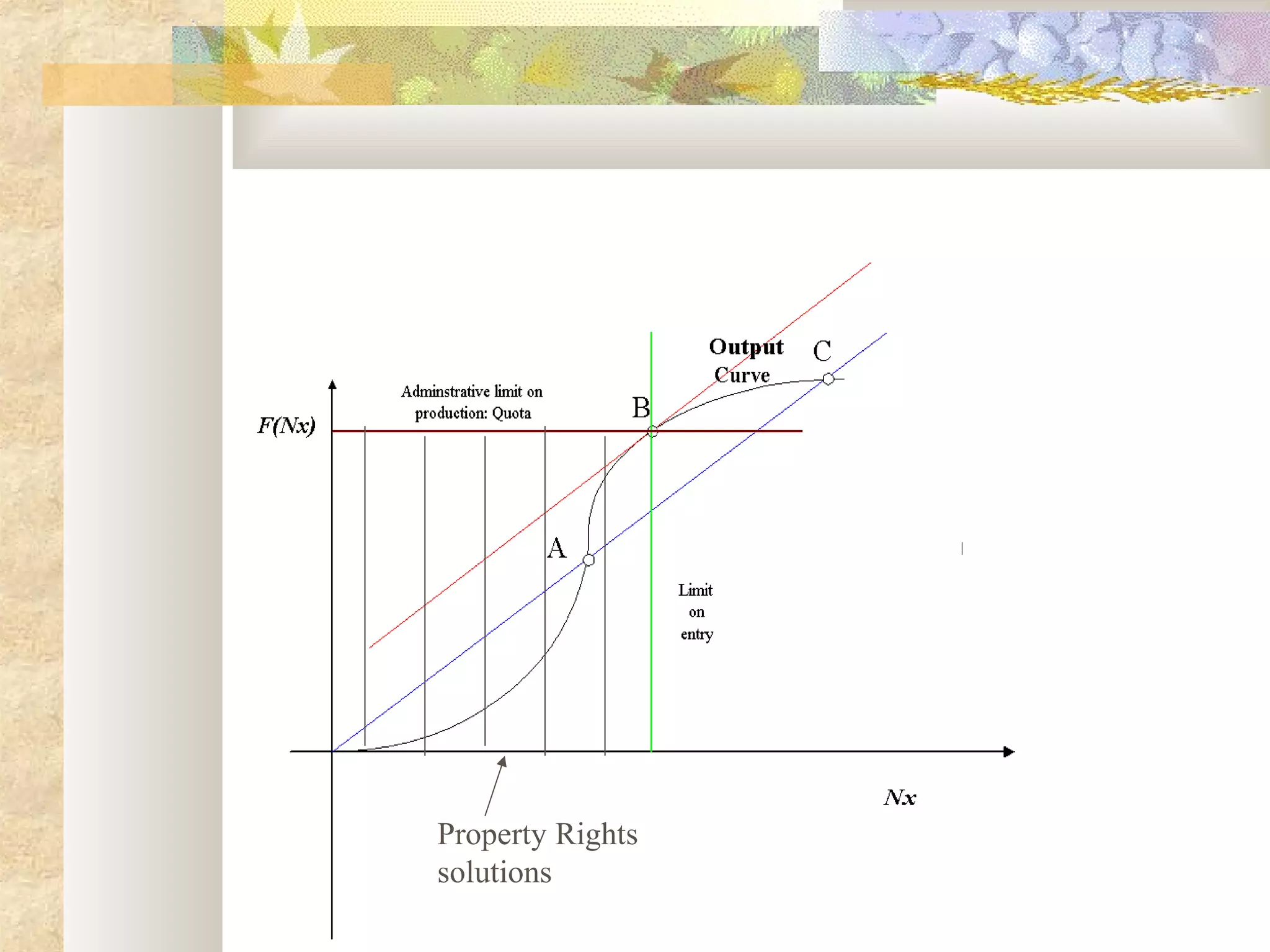 Property Rights
solutions
 