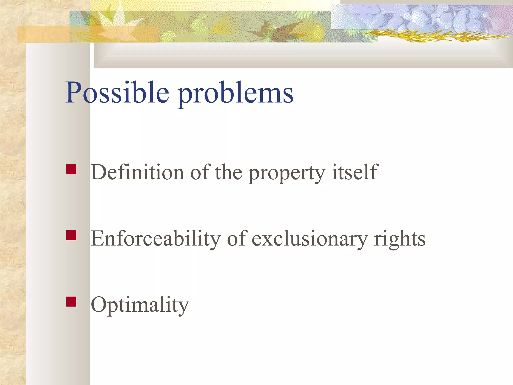 Possible problems
 Definition of the property itself
 Enforceability of exclusionary rights
 Optimality
 