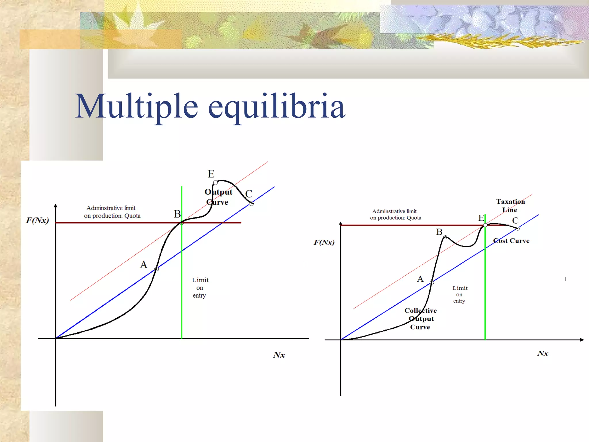 Multiple equilibria
 