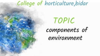College of horticulture,bidar
TOPIC
components of
environment
 