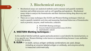 10
3. Biochemical assays
• Biochemical assays are analytical methods used to measure and quantify metabolic
reactions and cellular processes such as cell signalling and apoptosis. Biochemical
assays helps to analyse the biomolecules and their functions during drug discovery and
development.
• There are so many techniques like ELISA and Western blotting techniques which are
used to quantify metabolic activities and measuring functional behaviour of biomolecules
such as proteins, enzyme, small molecules, cofactors.
A. WESTERN Blotting technique.
B. Enzyme-linked immunosorbent assay (ELISA)
C. ENZYMATIC ASSAY
A. WESTERN Blotting techniques :-
In this method labelled antibody against particular protein is used identify the desired protein, so
it is a specific test. Western blotting is also known as immunoblotting because it uses antibodies
to detect the protein.
B. ELISA :- In ELISA, various antigen-antibody combinations are used, always
including an enzyme-labeled antigen or antibody, and enzyme activity
is measured colorimetrically.
 