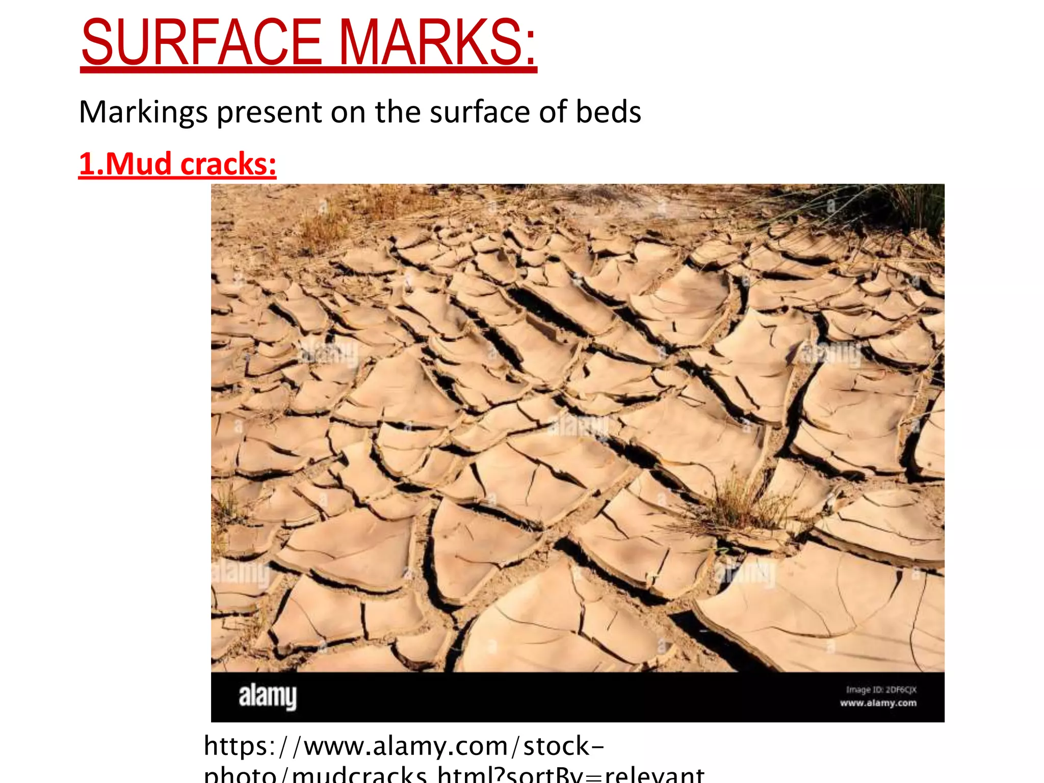 SURFACE MARKS:
Markings present on the surface of beds
1.Mud cracks:
https://www.alamy.com/stock-
 