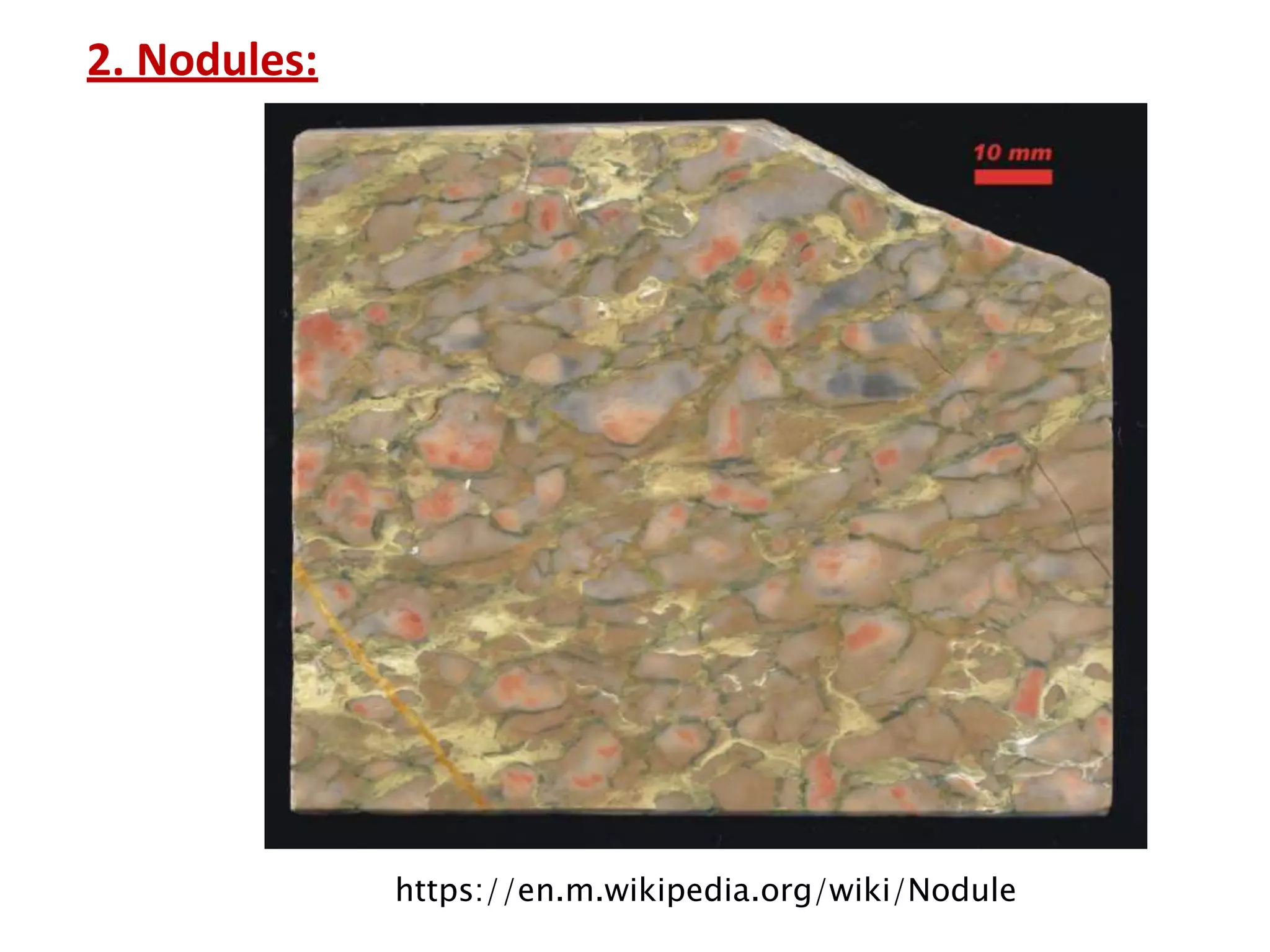 2. Nodules:
https://en.m.wikipedia.org/wiki/Nodule
 