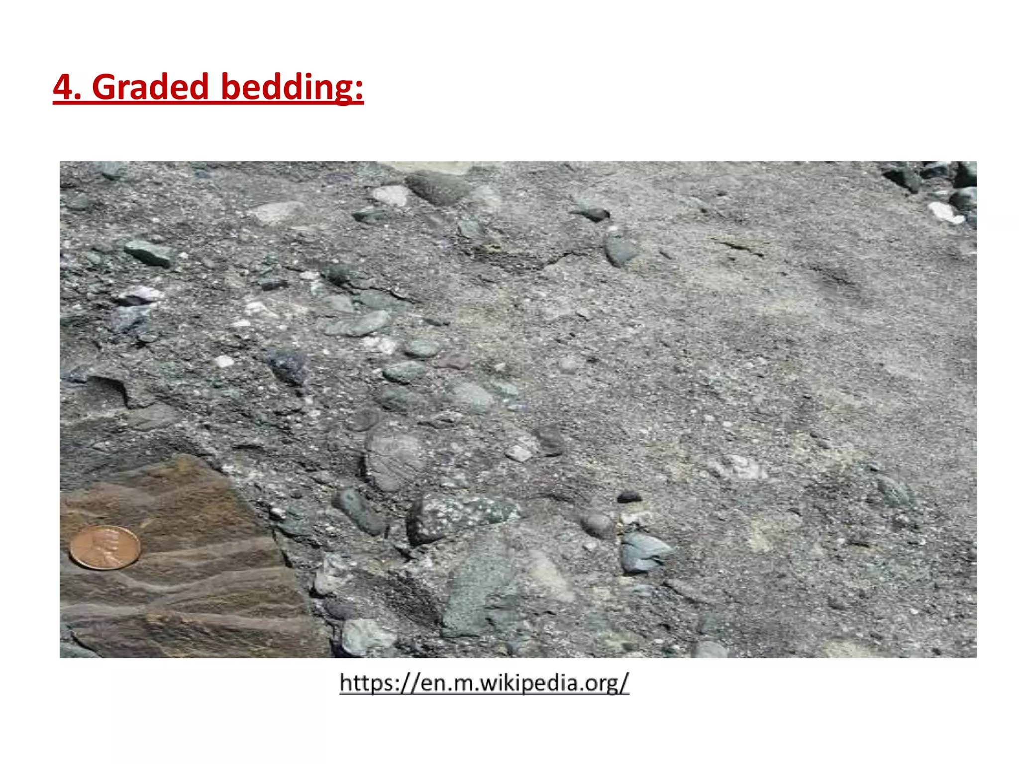 4. Graded bedding:
 
