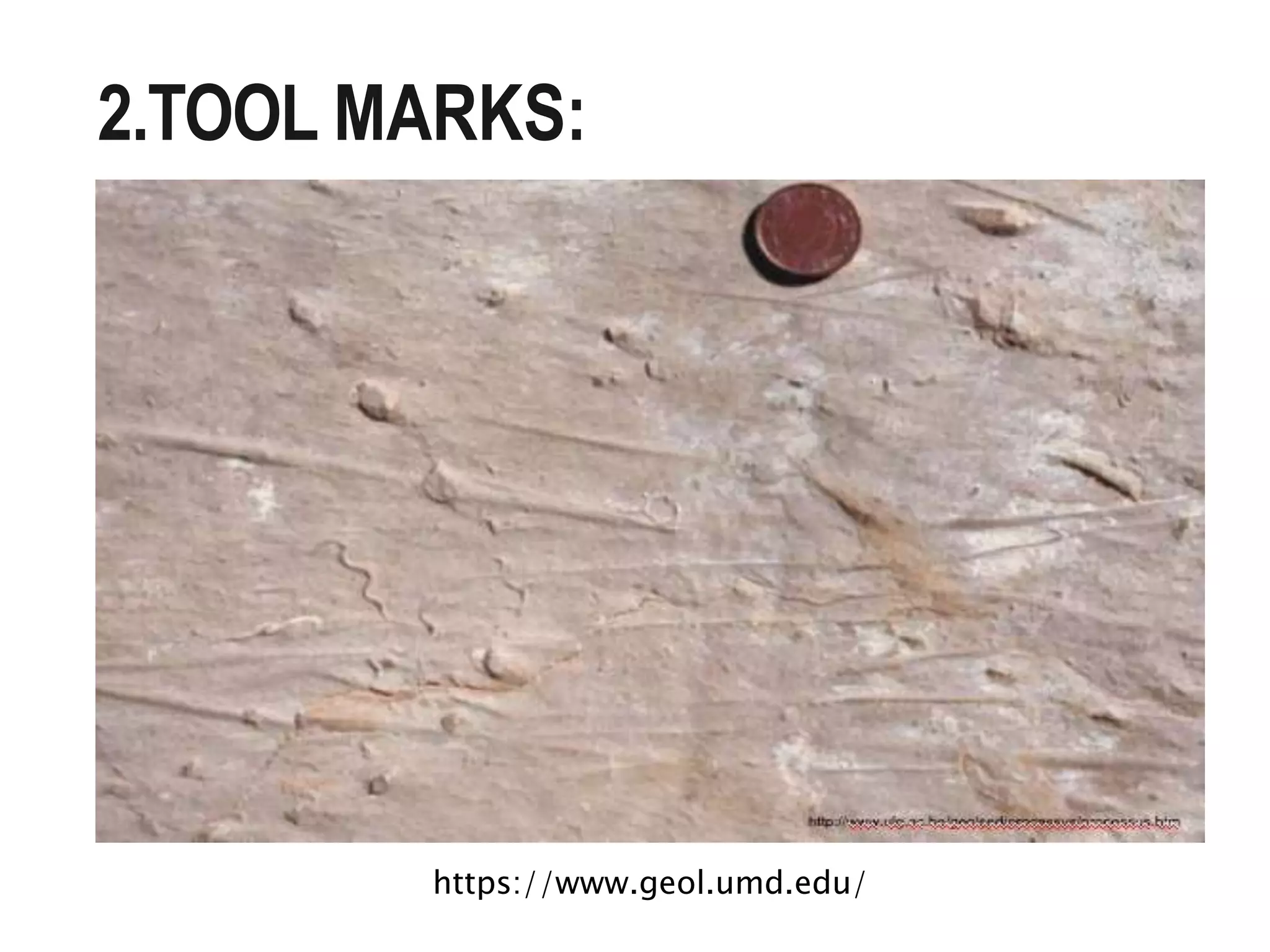 2.TOOL MARKS:
https://www.geol.umd.edu/
 
