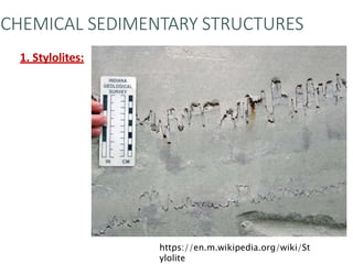 Sedimentary structure and  paleocurrent analysis