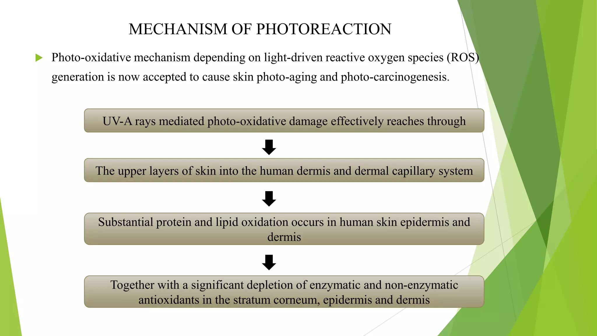 Sunprotection, sunscreen and its classification PPT