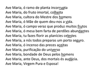 Ave Maria, ó ramo de planta incorrupta
Ave Maria, do fruto imortal, colheita
Ave Maria, cultora do Mestre dos homens
Ave Maria, ó Mãe de quem deu-nos a vida.
Ave Maria, ó campo veraz que produz muitos frutos
Ave Maria, ó mesa bem farta de perdões abundantes
Ave Maria, tu fazes florir as planícies celestes
Ave Maria, a nós todos preparas um porto seguro.
Ave Maria, ó incenso das preces aceitas
Ave Maria, purificação do universo
Ave Maria, bondade de Deus pelos homens
Ave Maria, ante Deus, dos mortais és audácia.
Ave Maria, Virgem Pura e Esposa!
 
