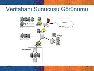 Veritabanı Sunucusu Görünümü 