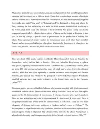 After potato plants flower, some varieties produce small green fruits that resemble green cherry
tomatoes, each containing up to 300 true seeds. Potato fruit contains large amounts of the toxic
alkaloid solanine and is therefore unsuitable for consumption. All new potato varieties are grown
from seeds, also called "true seed" or "botanical seed" to distinguish it from seed tubers. By
finely chopping the fruit and soaking it in water, the seeds separate from the flesh by sinking to
the bottom after about a day (the remnants of the fruit float). Any potato variety can also be
propagated vegetatively by planting tubers, pieces of tubers, cut to include at least one or two
eyes, or also by cuttings, a practice used in greenhouses for the production of healthy seed
tubers. Some commercial potato varieties do not produce seeds at all (they bear imperfect
flowers) and are propagated only from tuber pieces. Confusingly, these tubers or tuber pieces are
called "seed potatoes," because the potato itself functions as "seed".
GENETICS
There are about 5,000 potato varieties worldwide. Three thousand of them are found in the
Andes alone, mainly in Peru, Bolivia, Ecuador, Chile, and Colombia. They belong to eight or
nine species, depending on the taxonomic school. Apart from the 5,000 cultivated varieties, there
are about 200 wild species and subspecies, many of which can be cross-bred with cultivated
varieties, which has been done repeatedly to transfer resistances to certain pests and diseases
from the gene pool of wild species to the gene pool of cultivated potato species. Genetically
modified varieties have met public resistance in the United States and in the European
Union.[17][18]
The major species grown worldwide is Solanum tuberosum (a tetraploid with 48 chromosomes),
and modern varieties of this species are the most widely cultivated. There are also four diploid
species (with 24 chromosomes): S. stenotomum, S. phureja, S. goniocalyx, and S. ajanhuiri.
There are two triploid species (with 36 chromosomes): S. chaucha and S. juzepczukii. There is
one pentaploid cultivated species (with 60 chromosomes): S. curtilobum. There are two major
subspecies of Solanum tuberosum: andigena, or Andean; and tuberosum, or Chilean.[19] The
Andean potato is adapted to the short-day conditions prevalent in the mountainous equatorial and
tropical regions where it originated. The Chilean potato, native to the Chiloé Archipelago, is
adapted to the long-day conditions prevalent in the higher latitude region of southern Chile.[20]

 