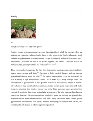 Toxicity

Early Rose variety seed tuber with sprouts
Potatoes contain toxic compounds known as glycoalkaloids, of which the most prevalent are
solanine and chaconine. Solanine is also found in other plants in the family Solanaceae, which
includes such plants as the deadly nightshade (Atropa belladonna), henbane (Hyoscyamus niger)
and tobacco (Nicotiana) as well as the potato, eggplant, and tomato. This toxin affects the
nervous system, causing weakness and confusion.[citation needed]
These compounds, which protect the plant from its predators, are, in general, concentrated in its
leaves, stems, sprouts, and fruits.[45] Exposure to light, physical damage, and age increase
glycoalkaloid content within the tuber;[46] the highest concentrations occur just underneath the
skin. Cooking at high temperatures —over 170 °C (340 °F)— partly destroys these. The
concentration of glycoalkaloid in wild potatoes suffices to produce toxic effects in humans.
Glycoalkaloids may cause headaches, diarrhea, cramps, and in severe cases coma and death;
however, poisoning from potatoes occurs very rarely. Light exposure causes greening from
chlorophyll synthesis, thus giving a visual clue as to areas of the tuber that may have become
more toxic; however, this does not provide a definitive guide, as greening and glycoalkaloid
accumulation can occur independently of each other. Some varieties of potato contain greater
glycoalkaloid concentrations than others; breeders developing new varieties test for this, and
sometimes have to discard an otherwise promising cultivar.

 