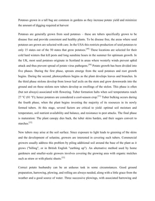 Potatoes grown in a tall bag are common in gardens as they increase potato yield and minimize
the amount of digging required at harvest
Potatoes are generally grown from seed potatoes – these are tubers specifically grown to be
disease free and provide consistent and healthy plants. To be disease free, the areas where seed
potatoes are grown are selected with care. In the USA this restricts production of seed potatoes to
only 15 states out of the 50 states that grow potatoes.[49] These locations are selected for their
cold hard winters that kill pests and long sunshine hours in the summer for optimum growth. In
the UK, most seed potatoes originate in Scotland in areas where westerly winds prevent aphid
attack and thus prevent spread of potato virus pathogens.[50] Potato growth has been divided into
five phases. During the first phase, sprouts emerge from the seed potatoes and root growth
begins. During the second, photosynthesis begins as the plant develops leaves and branches. In
the third phase stolons develop from lower leaf axils on the stem and grow downwards into the
ground and on these stolons new tubers develop as swellings of the stolon. This phase is often
(but not always) associated with flowering. Tuber formation halts when soil temperatures reach
27 °C (81 °F); hence potatoes are considered a cool-season crop.[51] Tuber bulking occurs during
the fourth phase, when the plant begins investing the majority of its resources in its newly
formed tubers. At this stage, several factors are critical to yield: optimal soil moisture and
temperature, soil nutrient availability and balance, and resistance to pest attacks. The final phase
is maturation: The plant canopy dies back, the tuber skins harden, and their sugars convert to
starches.[52]
New tubers may arise at the soil surface. Since exposure to light leads to greening of the skins
and the development of solanine, growers are interested in covering such tubers. Commercial
growers usually address this problem by piling additional soil around the base of the plant as it
grows ("hilling", or in British English "earthing up"). An alternative method used by home
gardeners and smaller-scale growers involves covering the growing area with organic mulches
such as straw or with plastic sheets.[52]
Correct potato husbandry can be an arduous task in some circumstances. Good ground
preparation, harrowing, plowing, and rolling are always needed, along with a little grace from the
weather and a good source of water. Three successive plowings, with associated harrowing and

 
