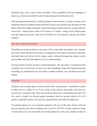 dissimilar crops, such as maize, beans and alfalfa. Crops susceptible to the same pathogens as
potato (e.g. tomato) are avoided in order to break potato pests' development cycle.
With good agricultural practices, including irrigation when necessary, a hectare of potato in the
temperate climates of northern Europe and North America can yield more than 40 tonnes of fresh
tubers within four months of planting. In most developing countries, however, average yields are
much lower - ranging from as little as five tonnes to 25 tonnes - owing to lack of high quality
seed and improved cultivars, lower rates of fertilizer use and irrigation, and pest and disease
problems.
SOIL AND LAND PREPARATION

The potato can be grown almost on any type of soil, except saline and alkaline soils. Naturally
loose soils, which offer the least resistance to enlargement of the tubers, are preferred, and loamy
and sandy loam soils that are rich in organic matter, with good drainage and aeration, are the
most suitable. Soil with a pH range of 5.2-6.4 is considered ideal.
Growing potatoes involves extensive ground preparation. The soil needs to be harrowed until
completely free of weed roots. In most cases, three ploughings, along with frequent harrowing
and rolling, are needed before the soil reaches a suitable condition: soft, well-drained and wellaerated.
PLANTING

The potato crop is usually grown not from seed but from "seed potatoes" - small tubers or pieces
of tuber sown to a depth of 5 to 10 cm. Purity of the cultivars and healthy seed tubers are
essential for a successful crop. Tuber seed should be disease-free, well-sprouted and from 30 to
40 g each in weight. Use of good quality commercial seed can increase yields by 30 to 50
percent, compared to farmers' own seed, but expected profits must offset the higher cost.
The planting density of a row of potatoes depends on the size of the tubers chosen, while the
inter-row spacing must allow for ridging of the crop (SEE BELOW). Usually, about two tonnes
of seed potatoes are sown per hectare. For rainfed production in dry areas, planting on flat soil

 