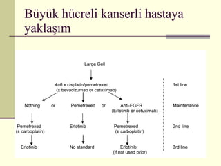 Büyük hücreli kanserli hastaya yaklaşım 