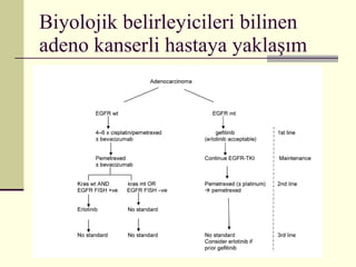 Biyolojik belirleyicileri bilinen adeno kanserli hastaya yaklaşım 