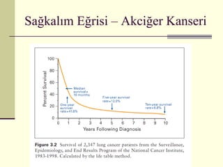 Sağkalım Eğrisi – Akciğer Kanseri 