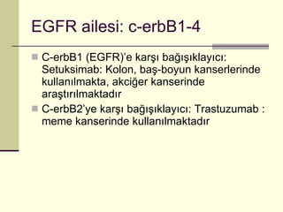 EGFR ailesi: c-erbB1-4 C-erbB1 (EGFR)’e karşı bağışıklayıcı: Setuksimab: Kolon, baş-boyun kanserlerinde kullanılmakta, akciğer kanserinde araştırılmaktadır C-erbB2’ye karşı bağışıklayıcı: Trastuzumab : meme kanserinde kullanılmaktadır 
