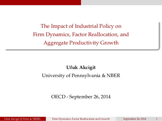 the impact of industrial policy on firm dynamics factor reallocation