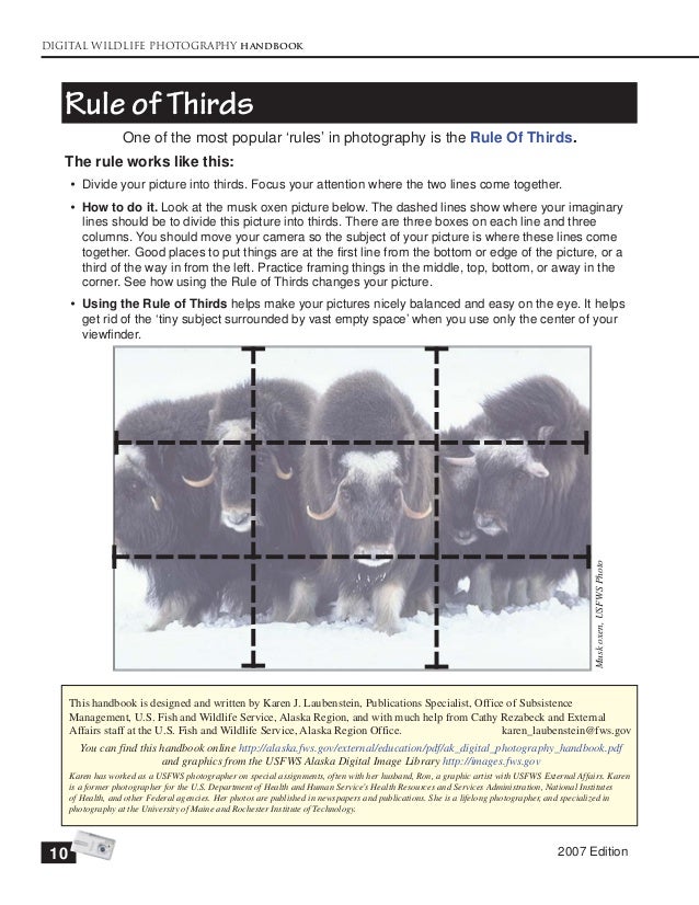 Rule of Thirds in Photography Practical Guide