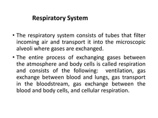 Respiratory System
• The respiratory system consists of tubes that filter
incoming air and transport it into the microscopic
alveoli where gases are exchanged.
• The entire process of exchanging gases between
the atmosphere and body cells is called respiration
and consists of the following: ventilation, gas
exchange between blood and lungs, gas transport
in the bloodstream, gas exchange between the
blood and body cells, and cellular respiration.
 