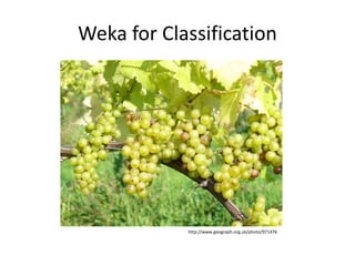 Weka for Classification
http://www.geograph.org.uk/photo/971476
 