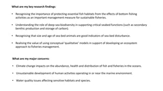 What are my key research findings:
• Recognising the importance of protecting essential fish habitats from the effects of bottom fishing
activities as an important management measure for sustainable fisheries.
• Understanding the role of deep-sea biodiversity in supporting critical seabed functions (such as secondary
benthic production and storage of carbon).
• Recognising that size and age of sea-bed animals are good indicators of sea-bed disturbance.
• Realising the value of using conceptual ‘qualitative’ models in support of developing an ecosystem
approach to fisheries management.
What are my major concerns:
• Climate change impacts on the abundance, health and distribution of fish and fisheries in the oceans.
• Unsustainable development of human activities operating in or near the marine environment.
• Water quality issues affecting sensitive habitats and species.
 