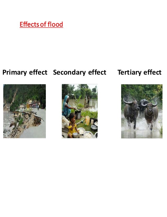 Flood project case study rk