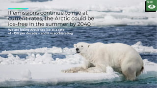 23
Source: WWF
If emissions continue to rise at
current rates, the Arctic could be
ice-free in the summer by 2040
We are losing Arctic sea ice at a rate
of ~13% per decade – and it is accelerating
23
 