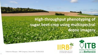 Fabienne Maupas - IIRB Congress, Deauville - 05/06/2018
1
High-throughput phenotyping of
sugar beet crop using multispectral
drone imagery
 