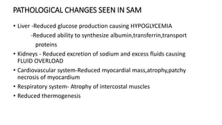 PATHOLOGICAL CHANGES SEEN IN SAM
• Liver -Reduced glucose production causing HYPOGLYCEMIA
-Reduced ability to synthesize albumin,transferrin,transport
proteins
• Kidneys - Reduced excretion of sodium and excess fluids causing
FLUID OVERLOAD
• Cardiovascular system-Reduced myocardial mass,atrophy,patchy
necrosis of myocardium
• Respiratory system- Atrophy of intercostal muscles
• Reduced thermogenesis
 