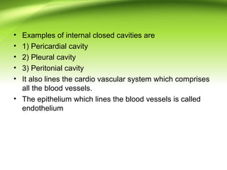 • Examples of internal closed cavities are
• 1) Pericardial cavity
• 2) Pleural cavity
• 3) Peritonial cavity
• It also lines the cardio vascular system which comprises
all the blood vessels.
• The epithelium which lines the blood vessels is called
endothelium
 