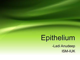 Epithelium
-Ladi Anudeep
ISM-IUK
 