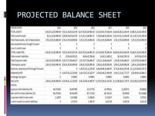 PROJECTED BALANCE SHEET
 