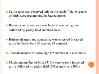  Cattle egret was observed only in the paddy field. 6 species
of birds were present only in Sacred grove.
 Richness and abundance was highest in sacred grove,
followed by paddy field and then river.
 Highest richness and abundance was observed in sacred
grove in November (15 species, 38 number).
 Total abundance was also high (75 numbers) in November.
 Maximum number of birds (51%) were present in sacred
grove followed by paddy field (29%) and river (20%).
 