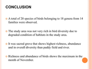 CONCLUSION
 A total of 20 species of birds belonging to 18 genera from 14
families were observed.
 The study area was not very rich in bird diversity due to
degraded condition of habitats in the study area.
 It was sacred grove that shows highest richness, abundance
and in overall diversity than paddy field and river.
 Richness and abundance of birds shows the maximum in the
month of November.
 